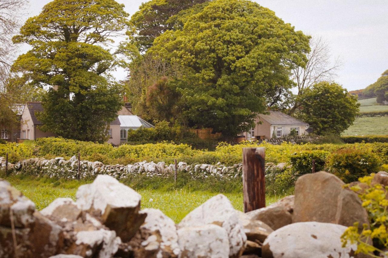 The Alms House Strangford Villa Exterior photo